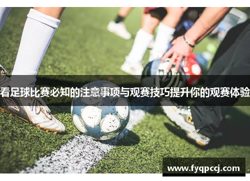 看足球比赛必知的注意事项与观赛技巧提升你的观赛体验