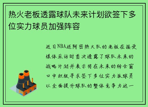 热火老板透露球队未来计划欲签下多位实力球员加强阵容